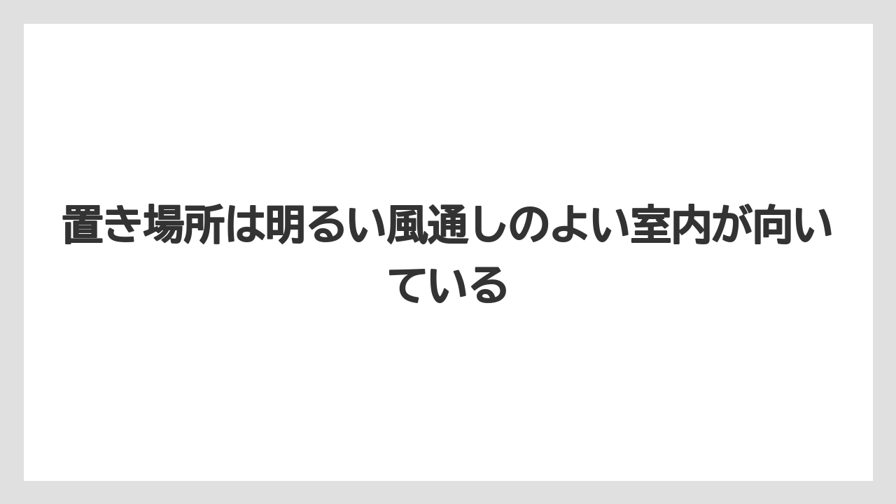 【サンスベリア】【サンセベリア】【栽培】置き場所は明るい風通しのよい室内が向いている