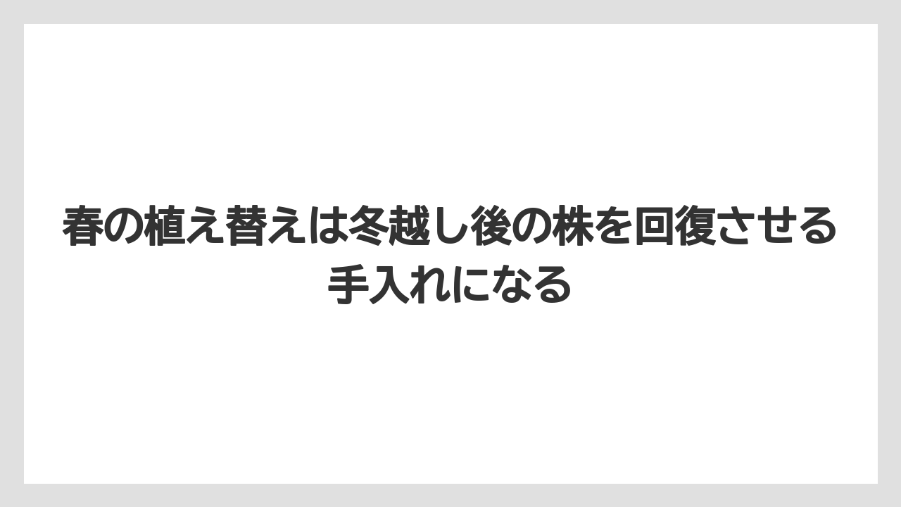 【栽培】【農園】【農業】春の植え替えは冬越し後の株を回復させる手入れになる