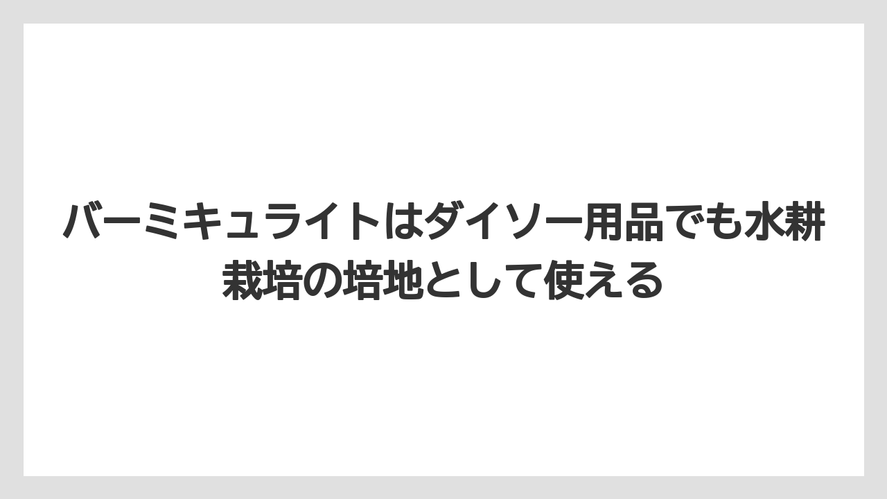 【100均】【しそ】【バーミキュライト】【栽培】【水耕栽培】バーミキュライトはダイソー用品でも水耕栽培の培地として使える