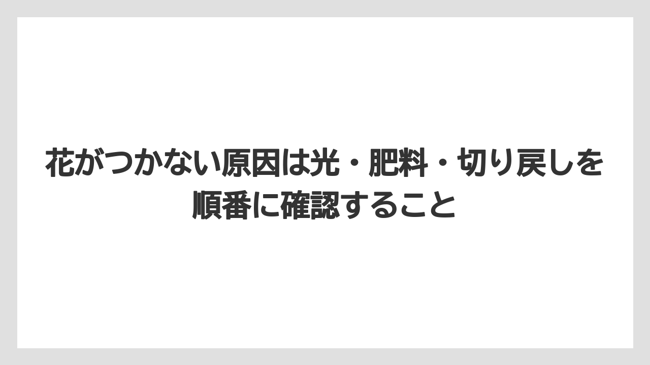 【栽培】【農園】【農業】花がつかない原因は光・肥料・切り戻しを順番に確認すること