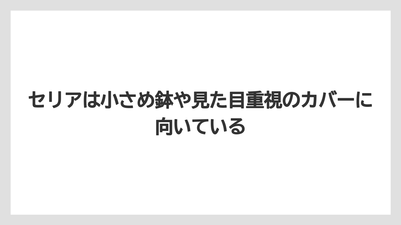 【100均】【サンスベリア】【パキラ】【モンステラ】【多肉植物】セリアは小さめ鉢や見た目重視のカバーに向いている