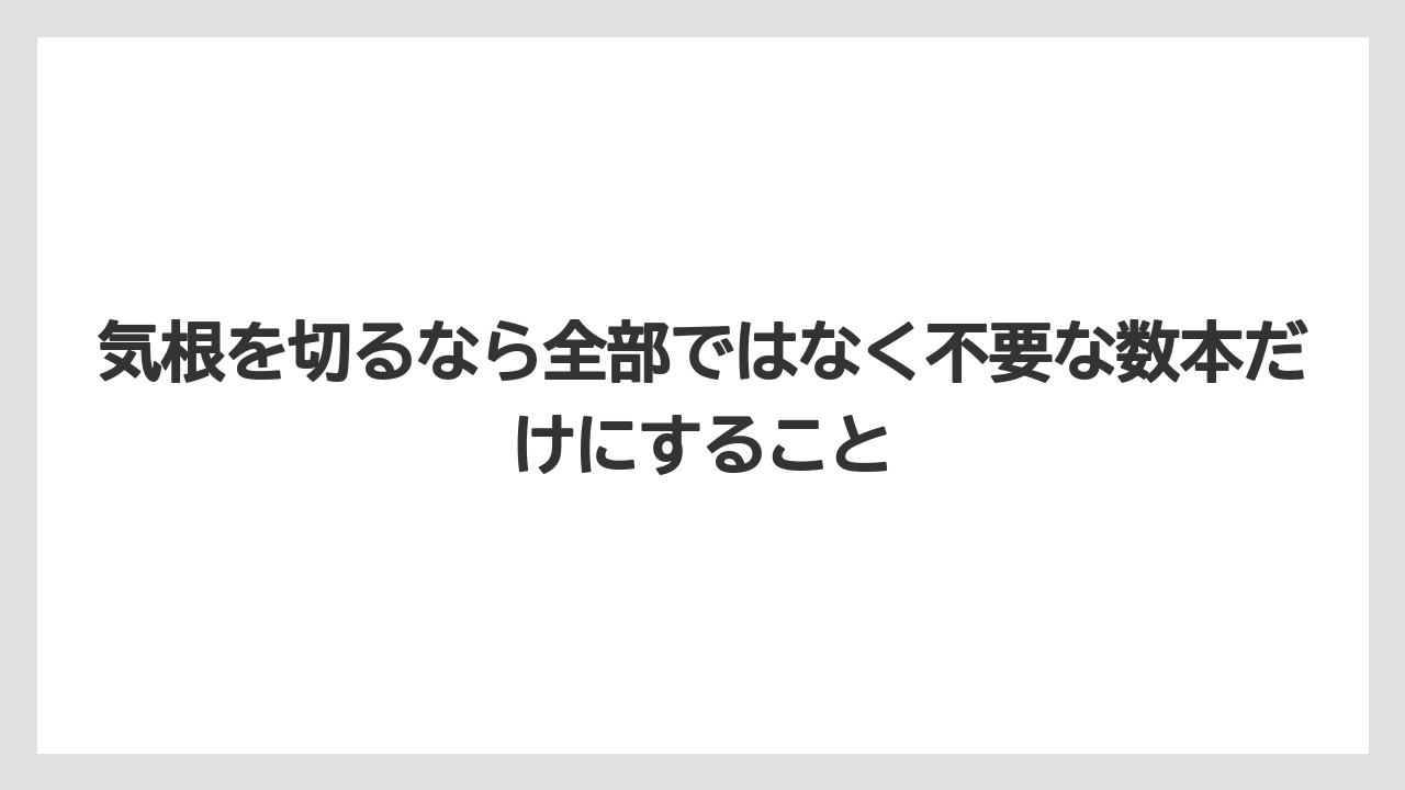 【モンステラ】【栽培】【農業】気根を切るなら全部ではなく不要な数本だけにすること