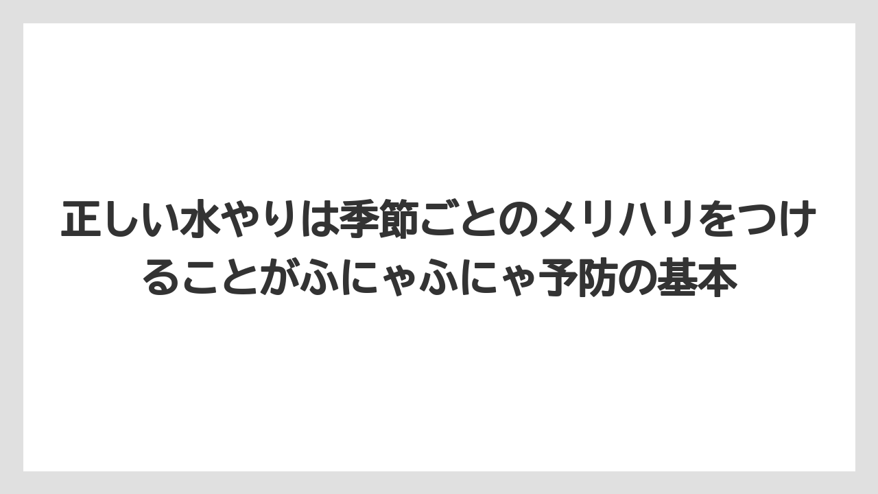 【木】【栽培】【農業】正しい水やりは季節ごとのメリハリをつけることがふにゃふにゃ予防の基本