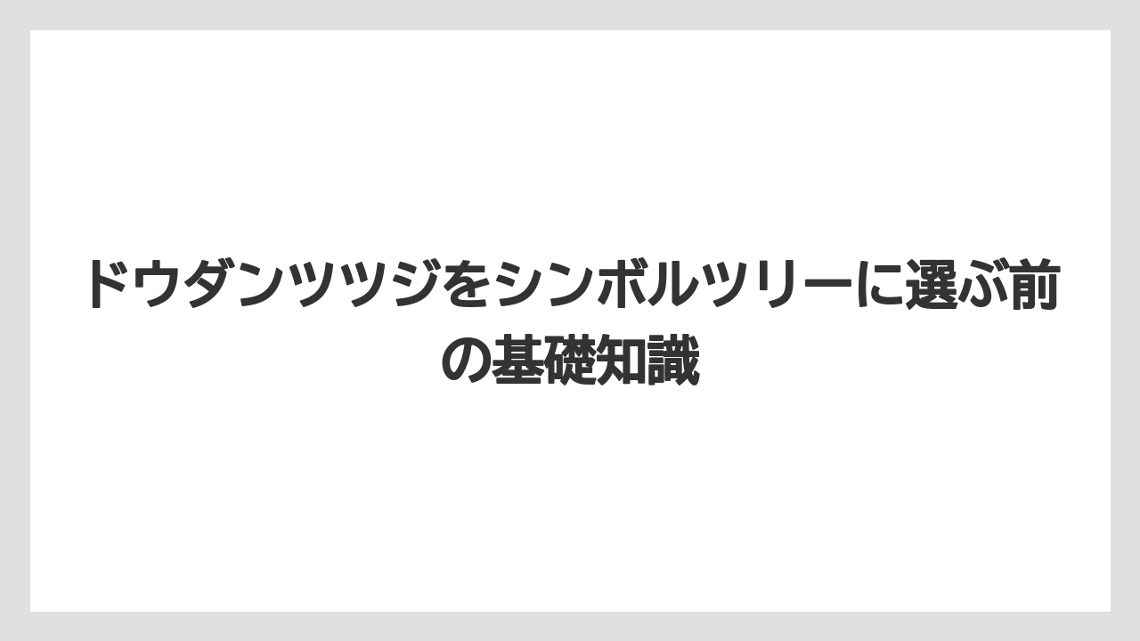 ドウダンツツジをシンボルツリーに選ぶ前の基礎知識