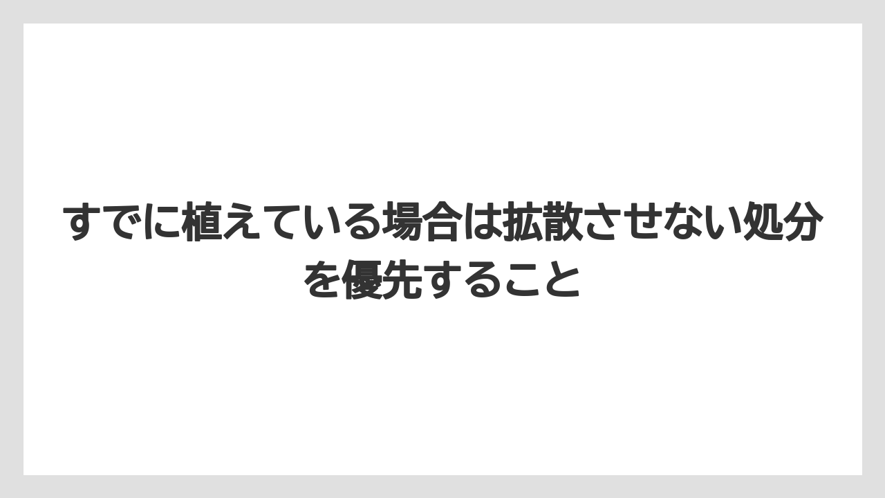 【栽培】【農園】【農業】すでに植えている場合は拡散させない処分を優先すること