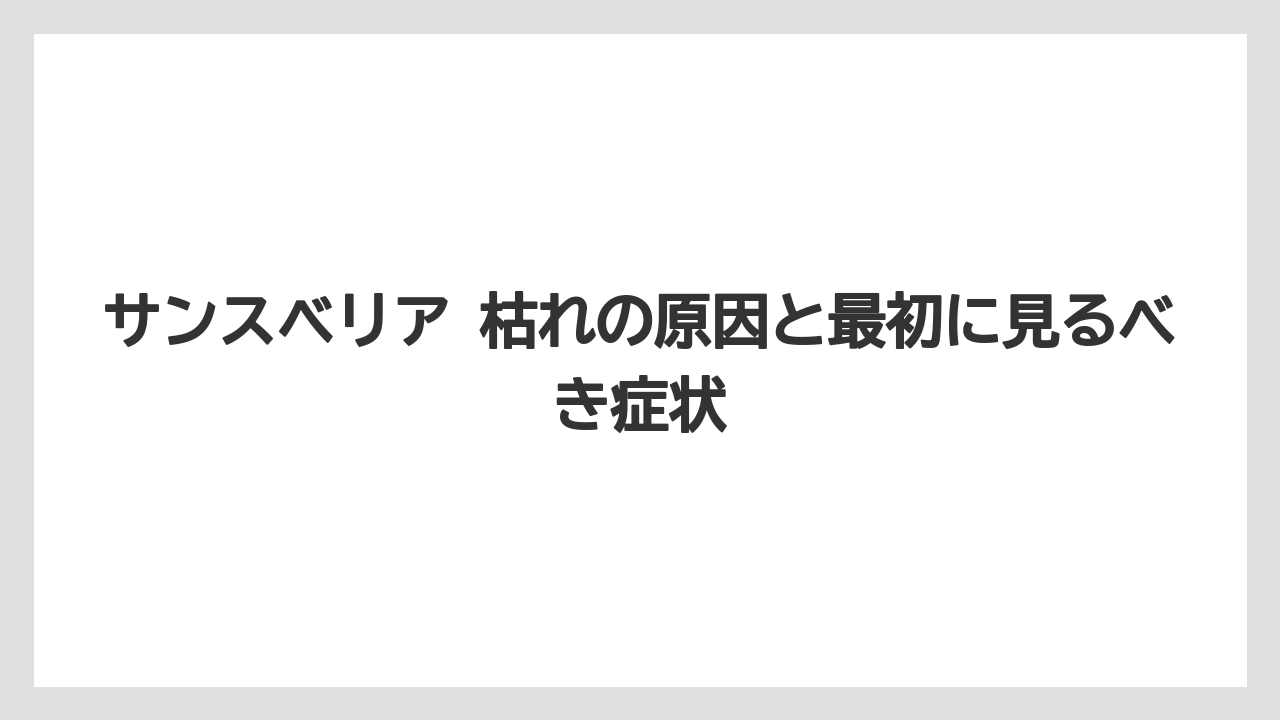 サンスベリア 枯れの原因と最初に見るべき症状