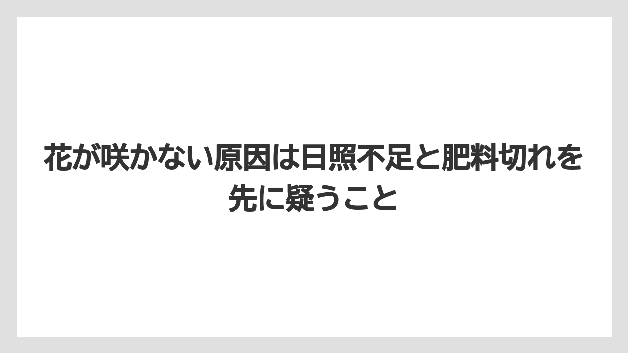 【栽培】【農園】【農業】花が咲かない原因は日照不足と肥料切れを先に疑うこと