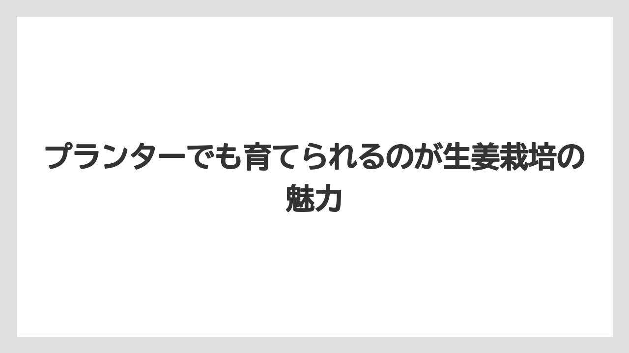 【栽培】【植え】【農業】プランターでも育てられるのが生姜栽培の魅力