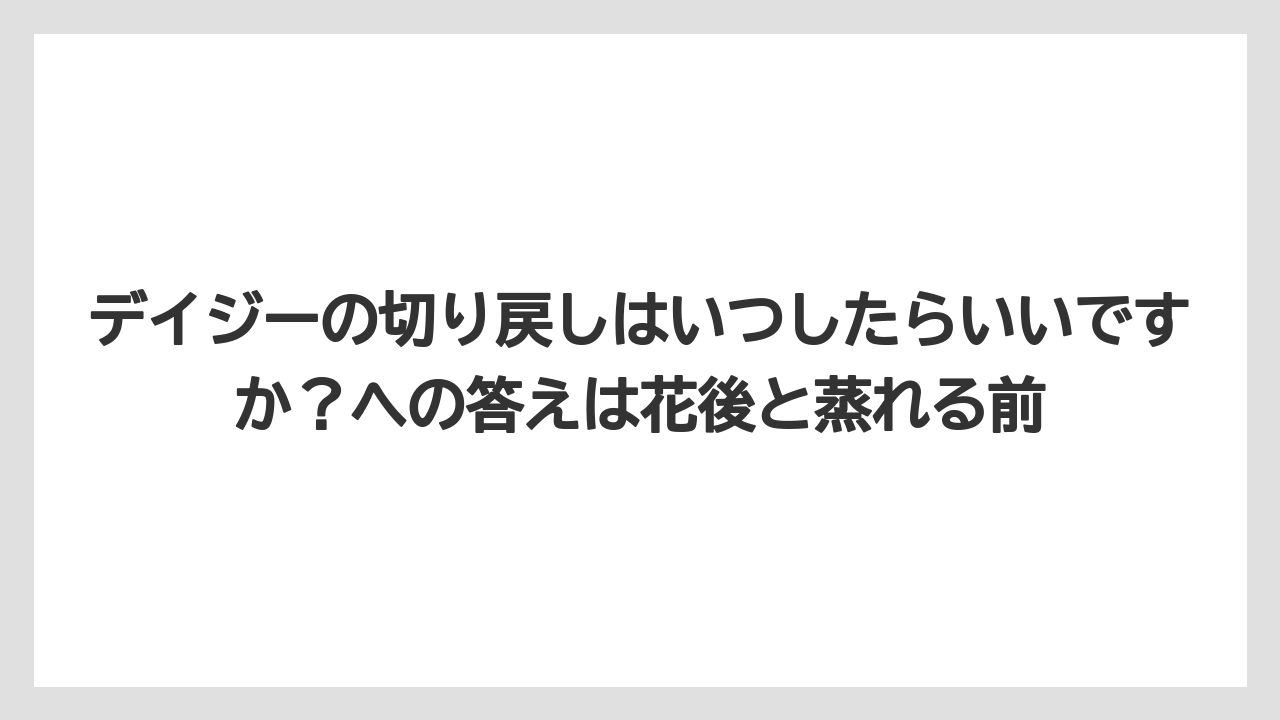 【栽培】【農園】【農業】デイジーの切り戻しはいつしたらいいですか？への答えは花後と蒸れる前