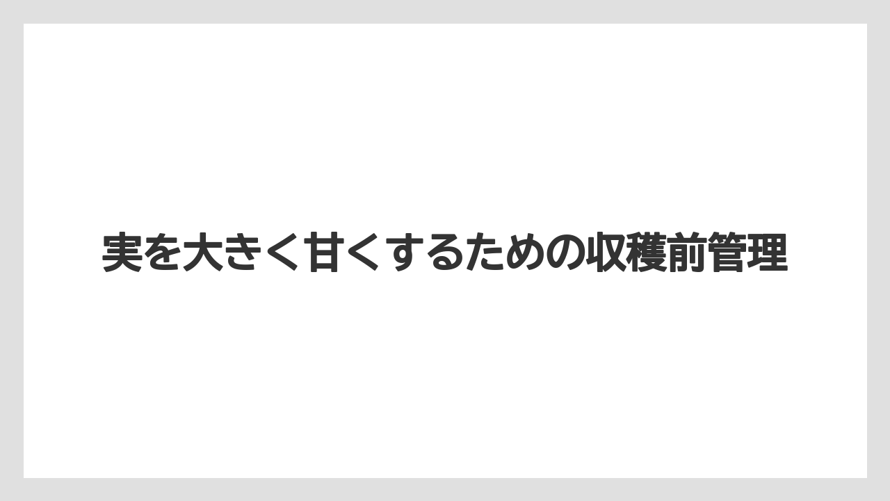 【栽培】【農園】【農業】実を大きく甘くするための収穫前管理
