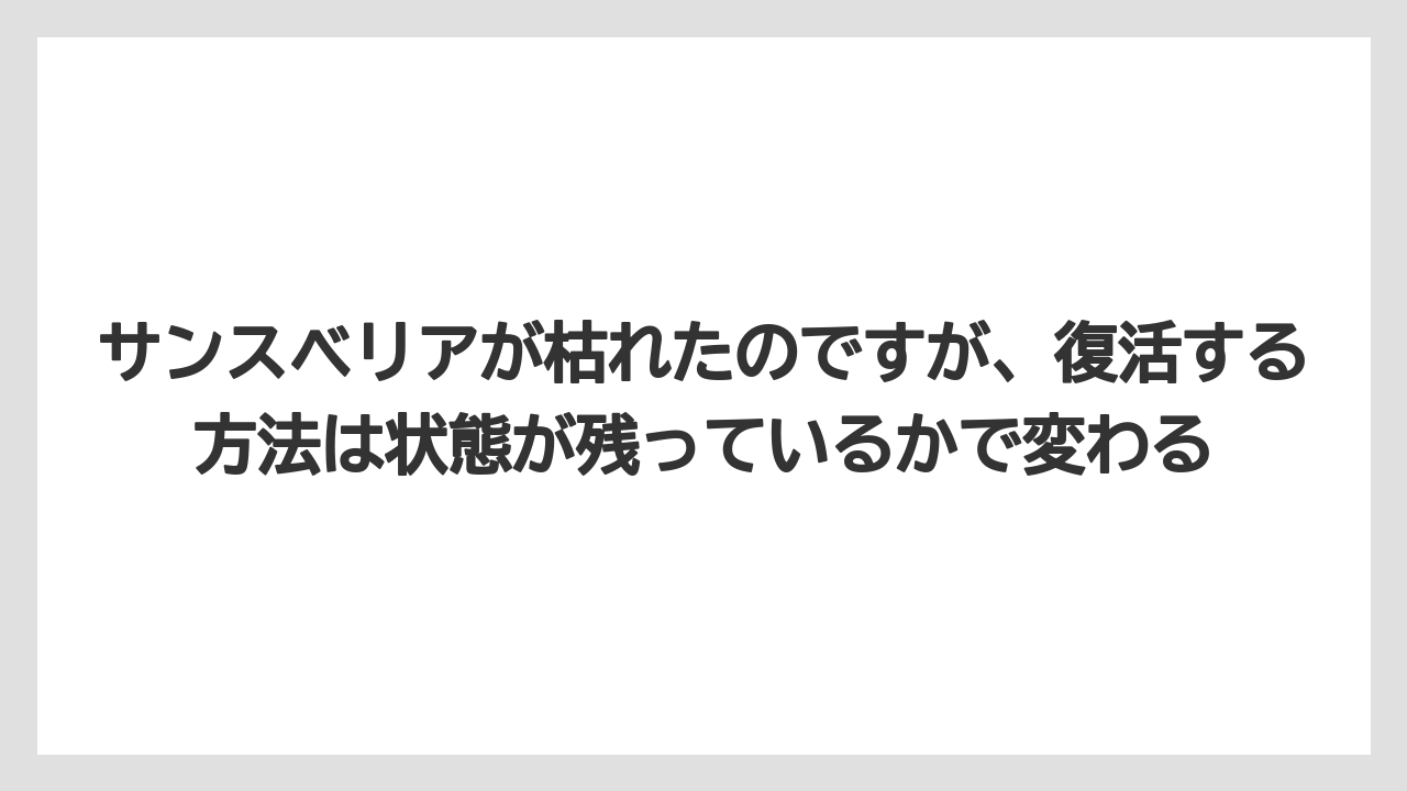 【サンスベリア】【栽培】【農業】サンスベリアが枯れたのですが、復活する方法は状態が残っているかで変わる