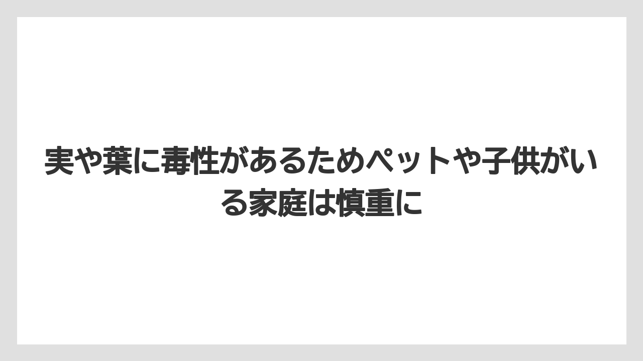 【ビバーナム】【後悔】【栽培】【植え】【育て方】実や葉に毒性があるためペットや子供がいる家庭は慎重に