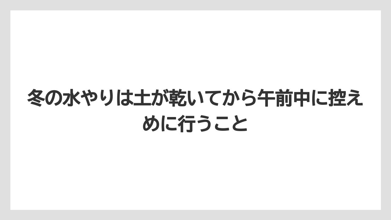 【栽培】【農園】【農業】冬の水やりは土が乾いてから午前中に控えめに行うこと