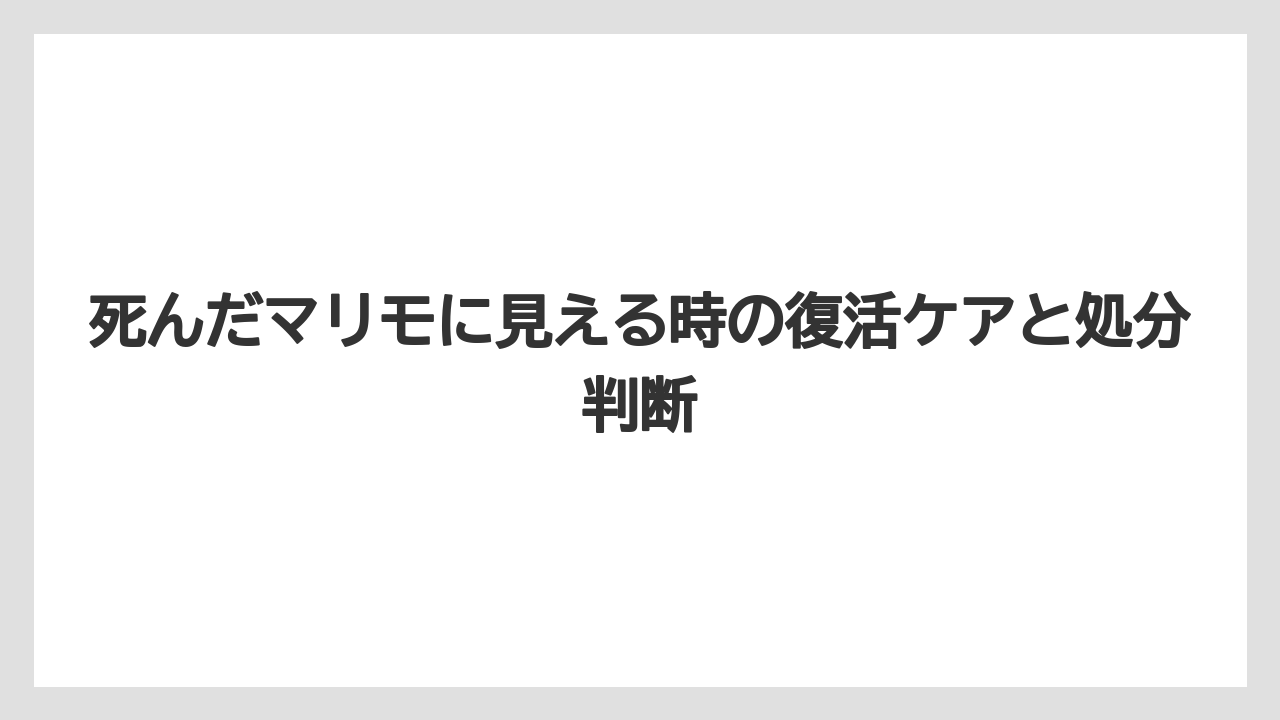 【まりも】【バラ】【栽培】浮くマリモだけで生死を決めないほうがよいこと