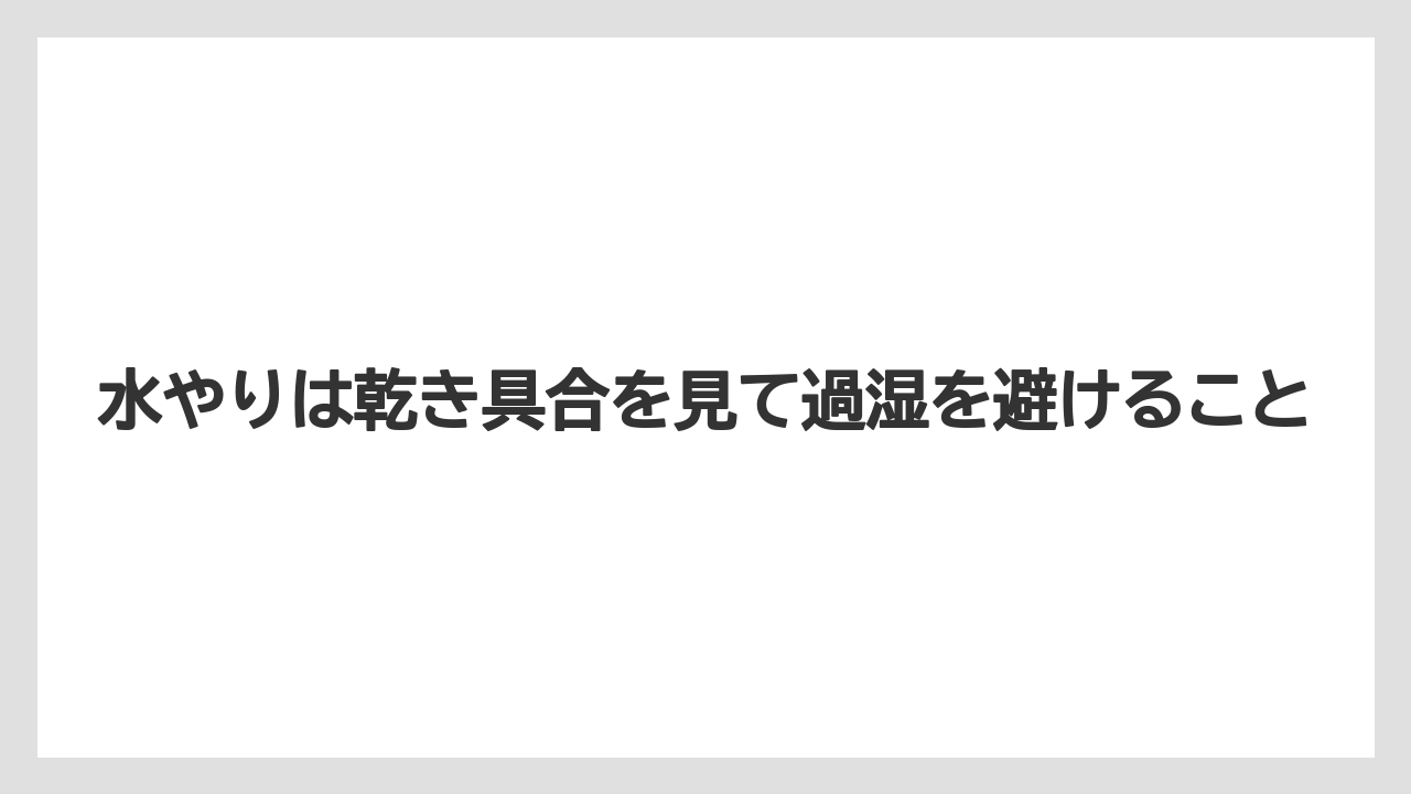 【栽培】【肥料】【農業】水やりは乾き具合を見て過湿を避けること