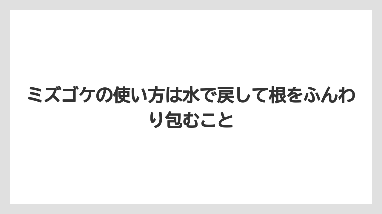 【栽培】【植え】【農業】ミズゴケの使い方は水で戻して根をふんわり包むこと