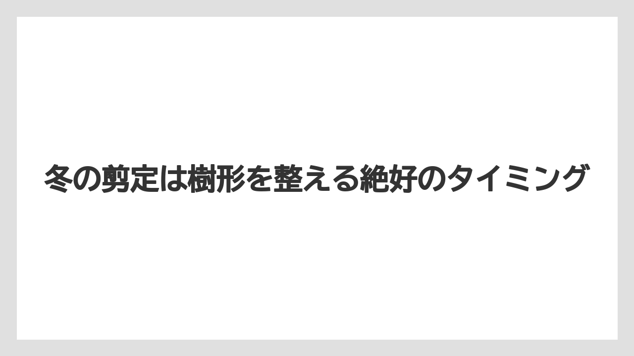 【剪定】【庭】【植え】【育て方】【花】冬の剪定は樹形を整える絶好のタイミング