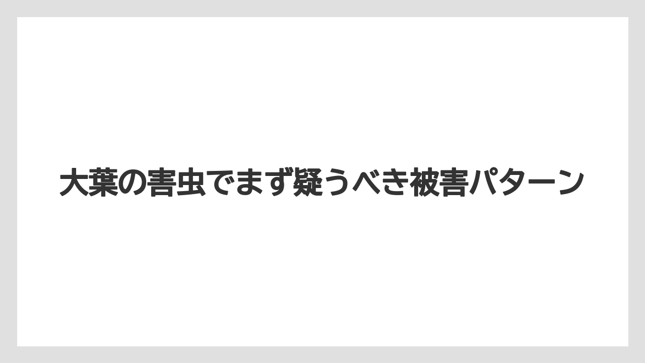 大葉の害虫でまず疑うべき被害パターン