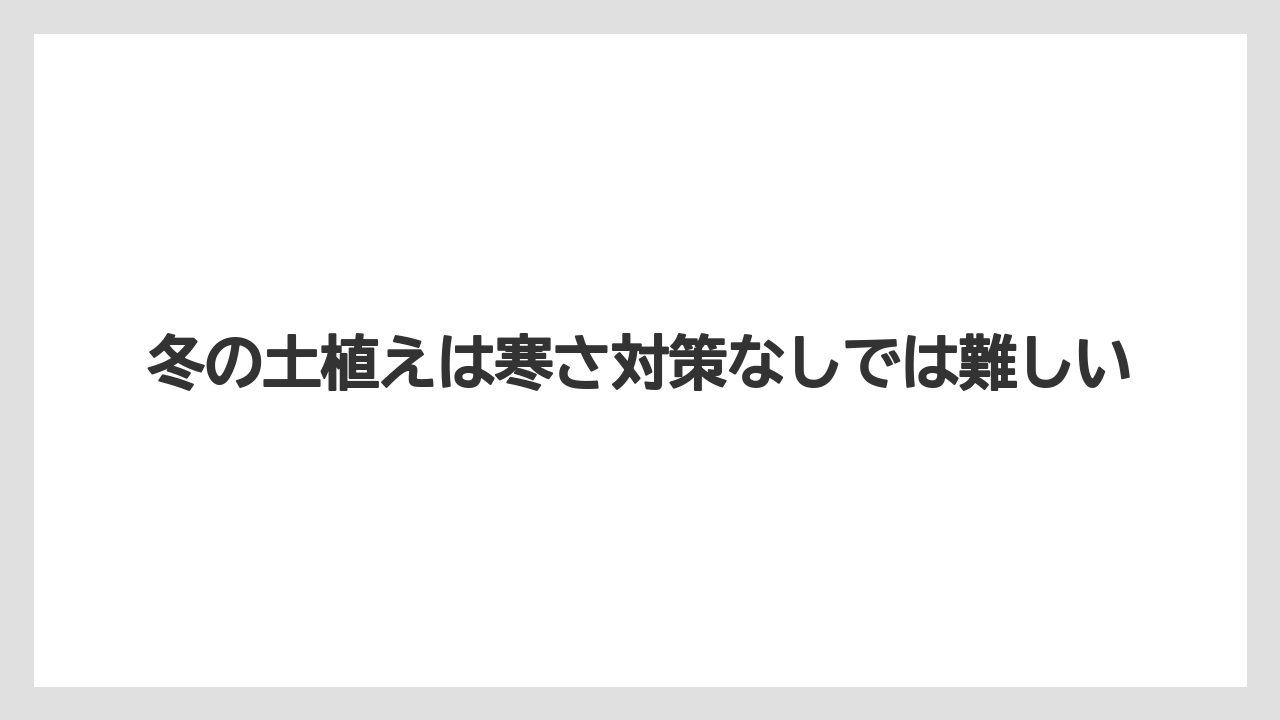 【栽培】【豆苗】【農業】冬の土植えは寒さ対策なしでは難しい