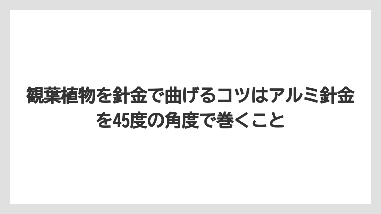 【栽培】【農園】【農業】観葉植物を針金で曲げるコツはアルミ針金を45度の角度で巻くこと