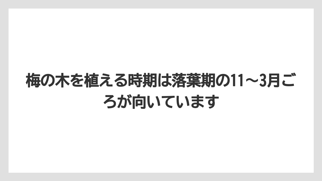 梅の木を植える時期は落葉期の11〜3月ごろが向いています