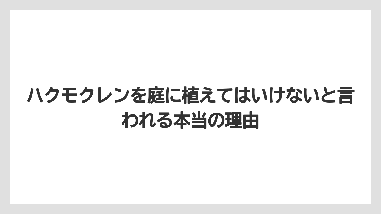 ハクモクレンを庭に植えてはいけないと言われる本当の理由