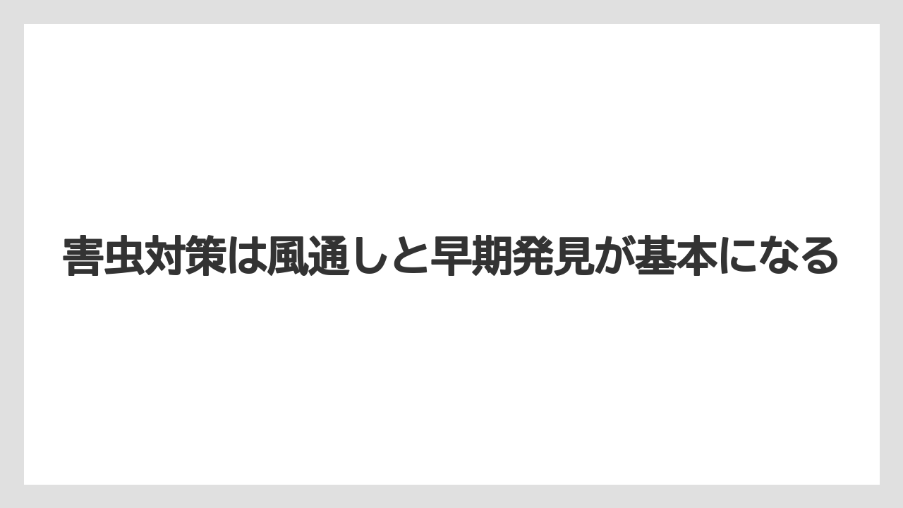 【いけない】【後悔】【栽培】【植え】害虫対策は風通しと早期発見が基本になる