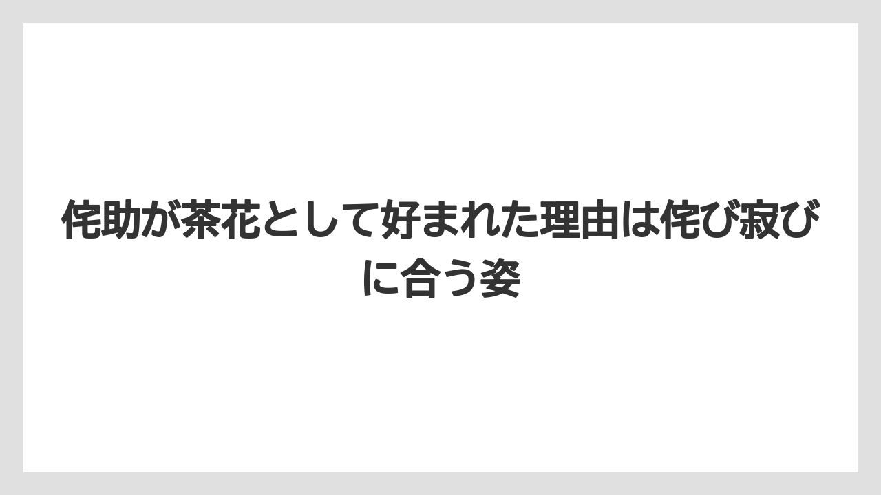 【栽培】【農園】【農業】侘助が茶花として好まれた理由は侘び寂びに合う姿