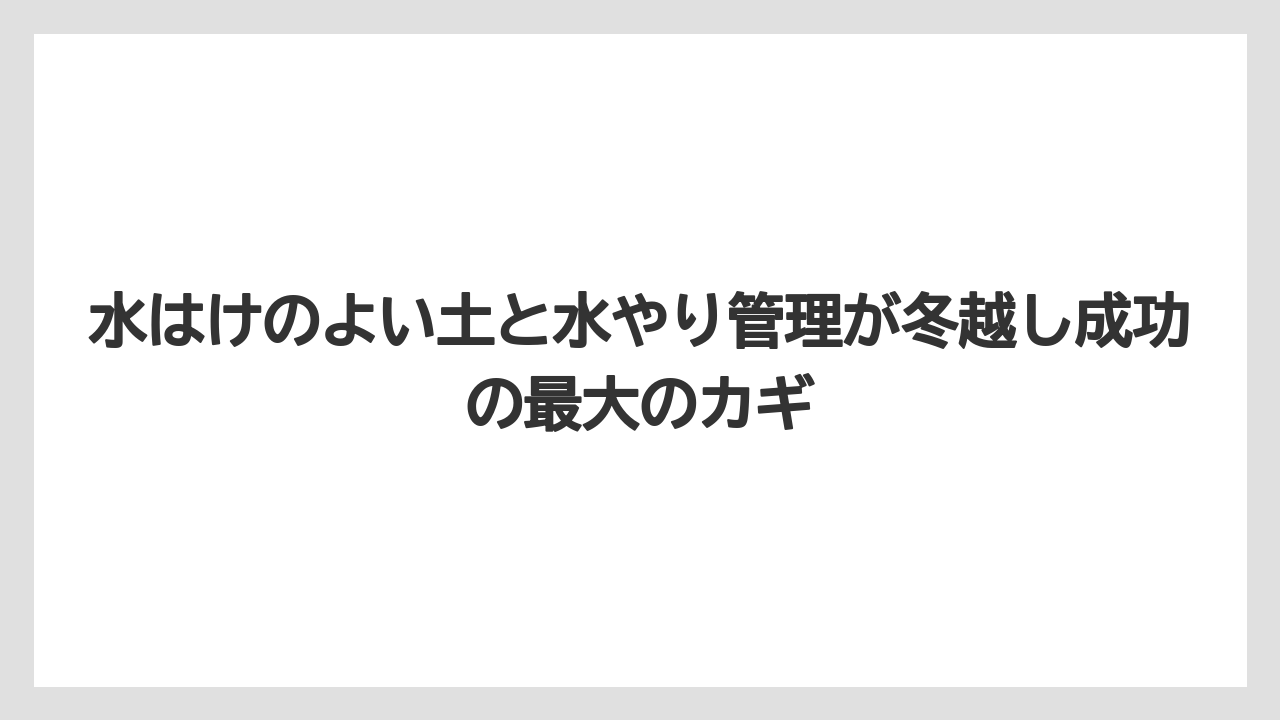 【栽培】【農園】【農業】水はけのよい土と水やり管理が冬越し成功の最大のカギ