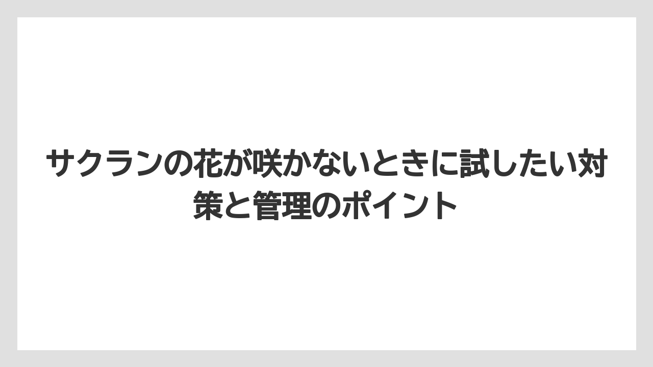 【栽培】【農園】【農業】サクラランは開花まで最低3〜5年かかることが多いこと