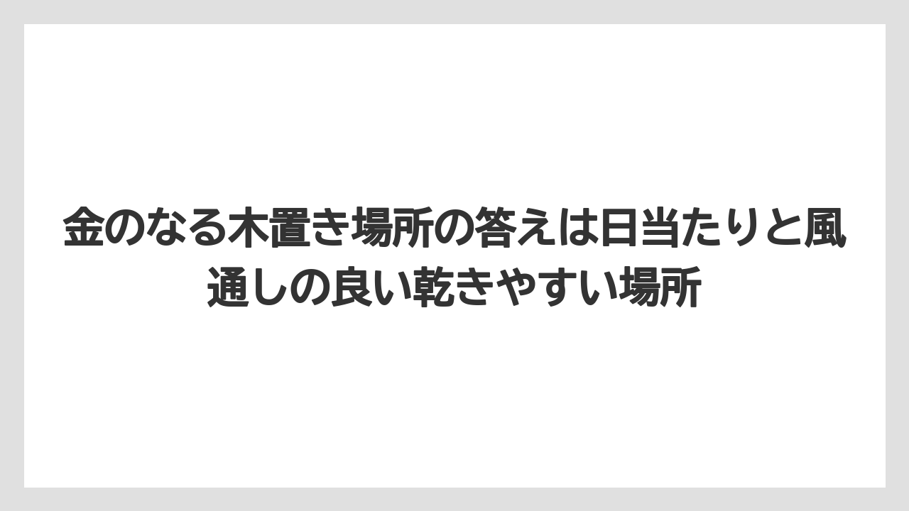 【栽培】【農園】【農業】金のなる木置き場所の答えは日当たりと風通しの良い乾きやすい場所