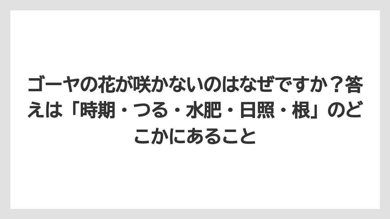 【ゴーヤ】【栽培】【花】ゴーヤの花が咲かないのはなぜですか？答えは「時期・つる・水肥・日照・根」のどこかにあること