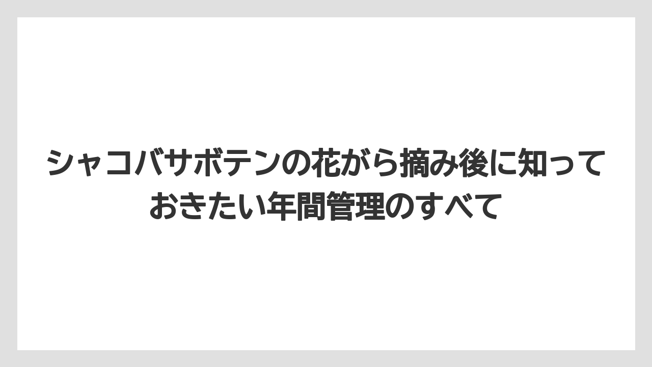 【サボテン】【栽培】【花】落蕾を防ぐには置き場所を固定して温度を安定させるのが鉄則