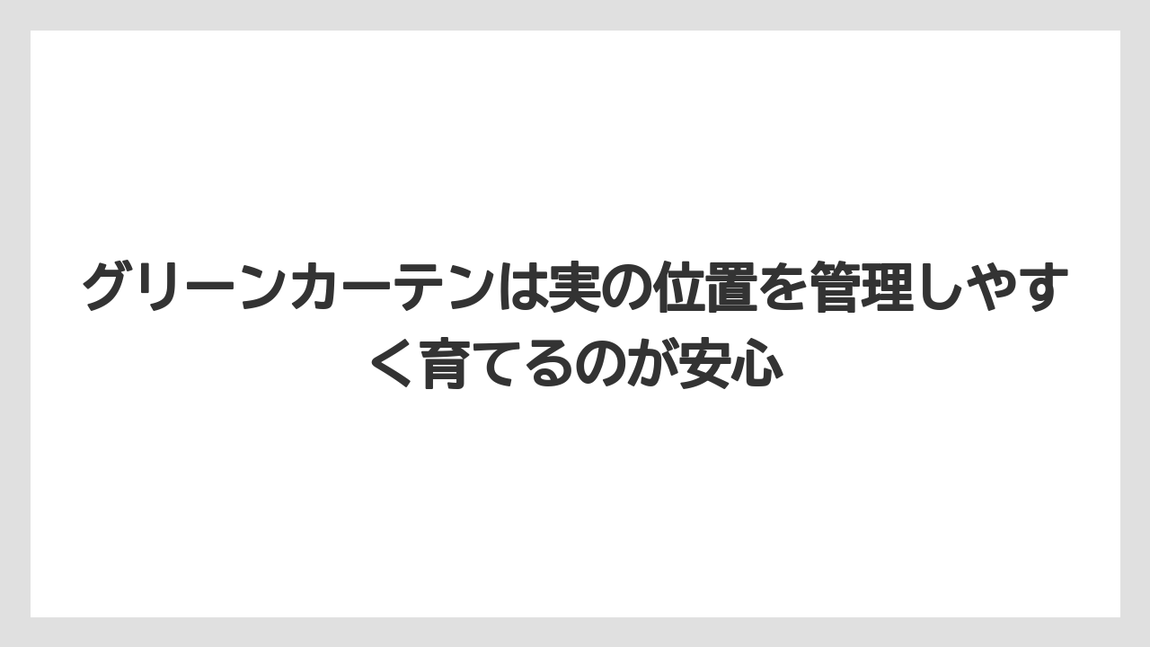 【栽培】【農園】【農業】グリーンカーテンは実の位置を管理しやすく育てるのが安心