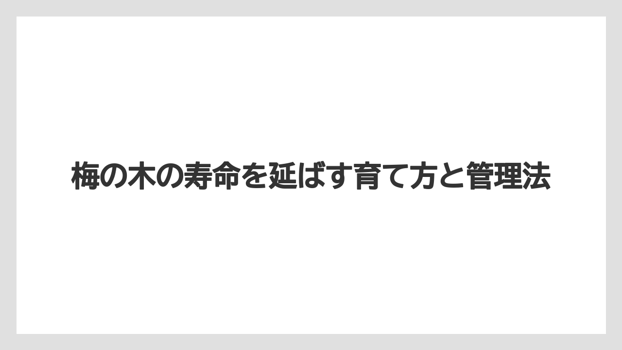 梅の木の値段は樹齢や樹形で変わり、古木ほど管理リスクも増えます