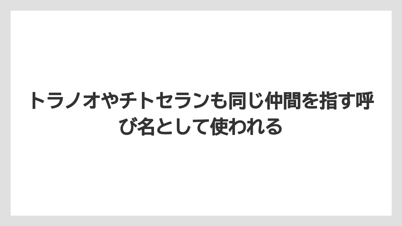 【サンスベリア】【サンセベリア】【栽培】トラノオやチトセランも同じ仲間を指す呼び名として使われる