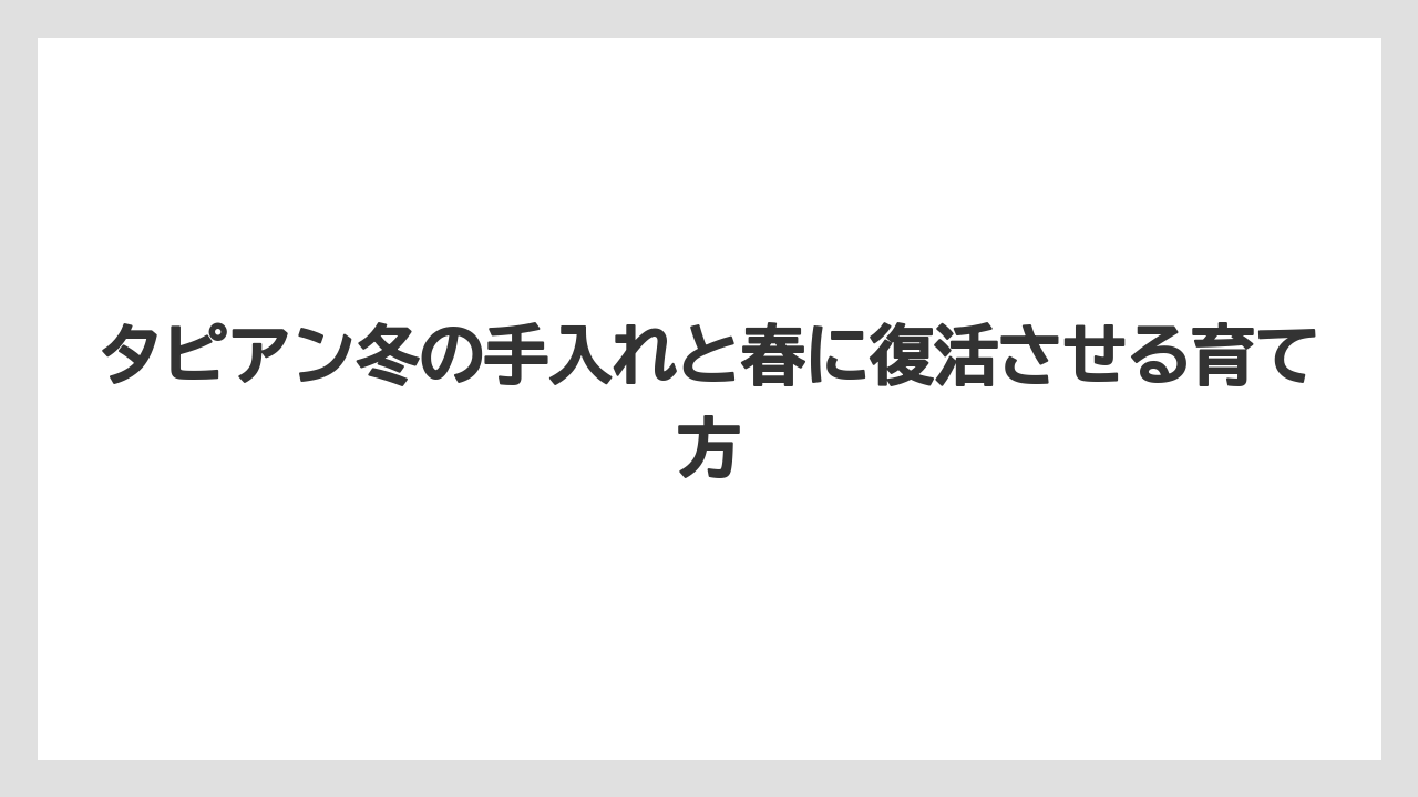 【栽培】【肥料】【農業】雪や霜に当たった後は地上部より株元の状態を見ること