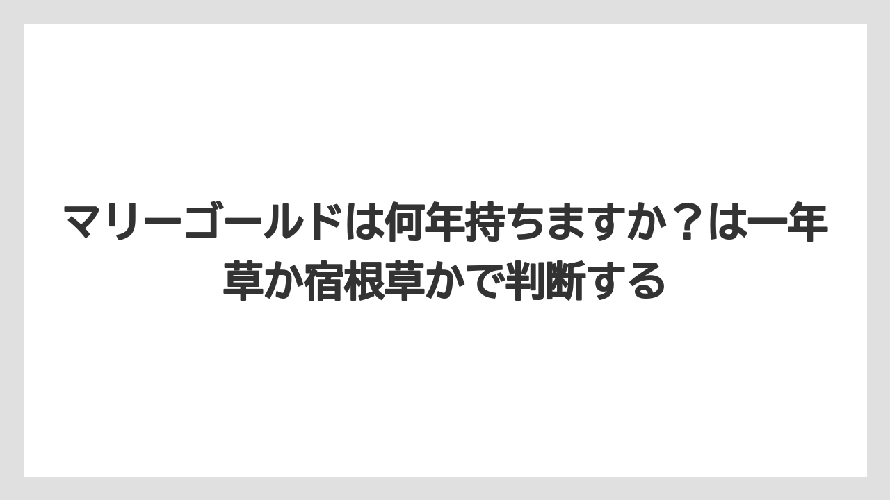【栽培】【育て方】【越し】マリーゴールドは何年持ちますか？は一年草か宿根草かで判断する