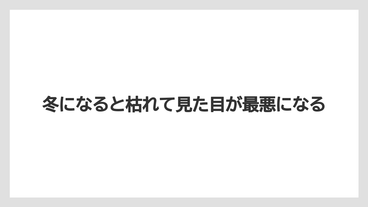 【栽培】【農園】【農業】冬になると枯れて見た目が最悪になる