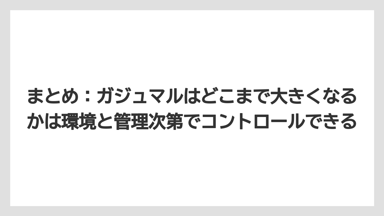 【ガジュマル】【剪定】【栽培】まとめ：ガジュマルはどこまで大きくなるかは環境と管理次第でコントロールできる