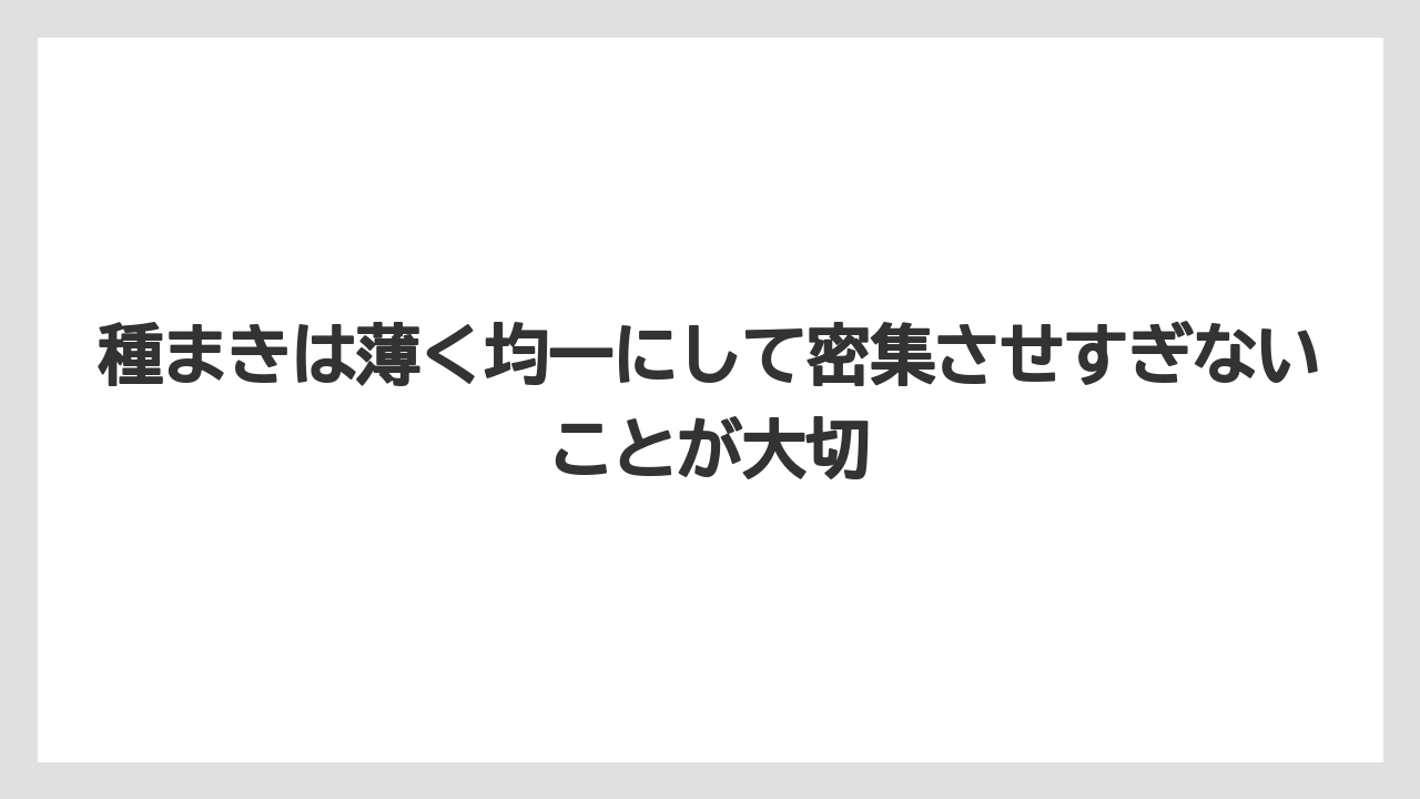 種まきは薄く均一にして密集させすぎないことが大切