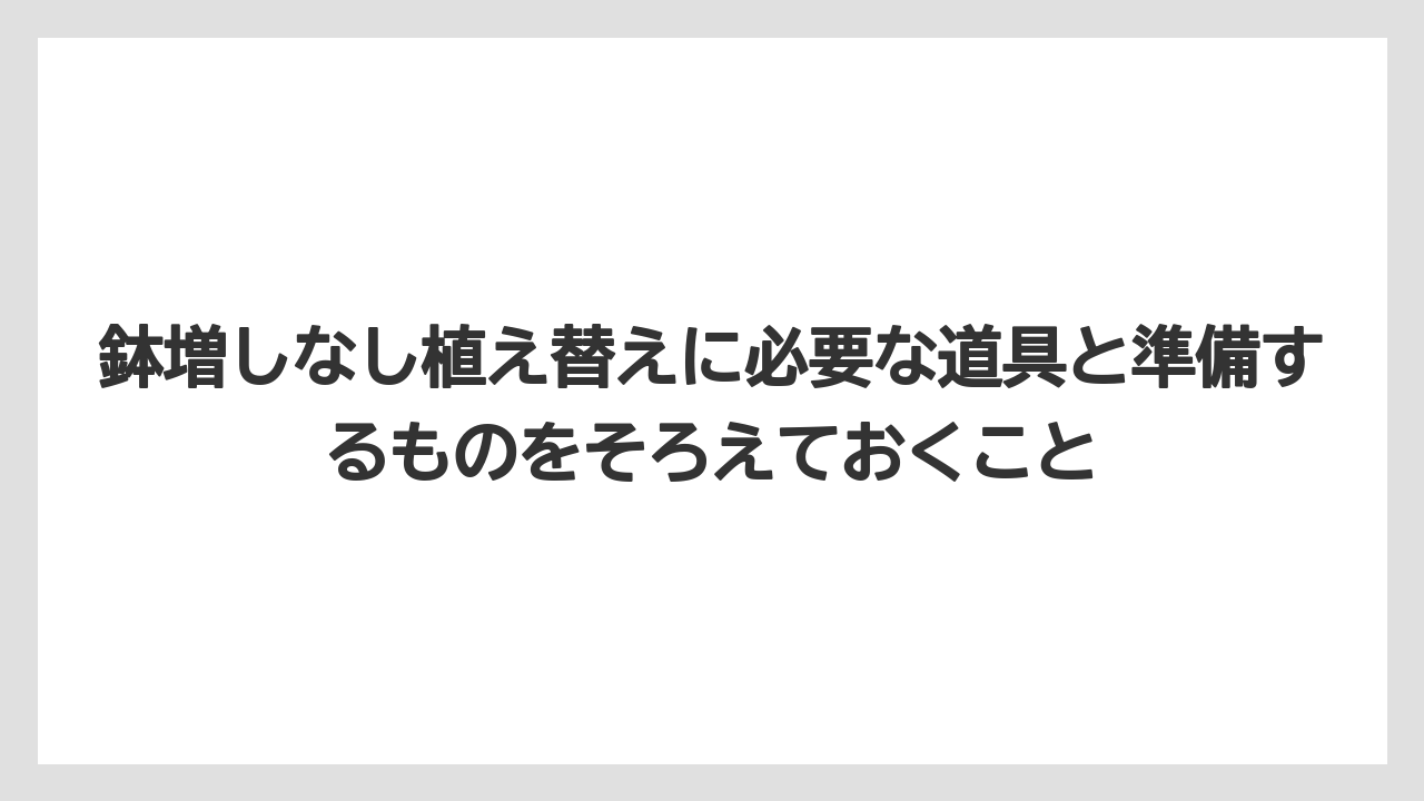 【栽培】【植物】【観葉】【鉢】鉢増しなし植え替えに必要な道具と準備するものをそろえておくこと
