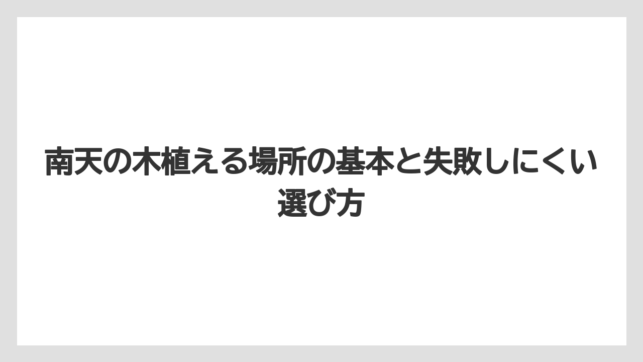 南天の木植える場所の基本と失敗しにくい選び方