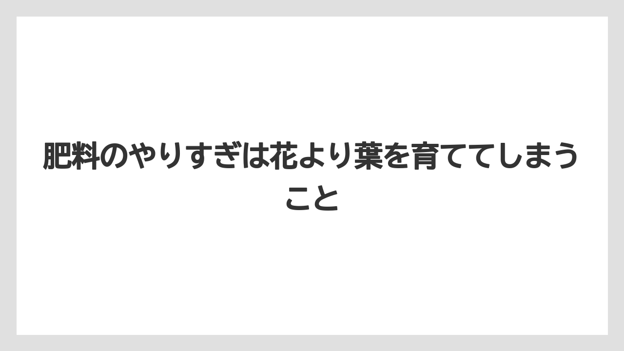【栽培】【農園】【農業】肥料のやりすぎは花より葉を育ててしまうこと
