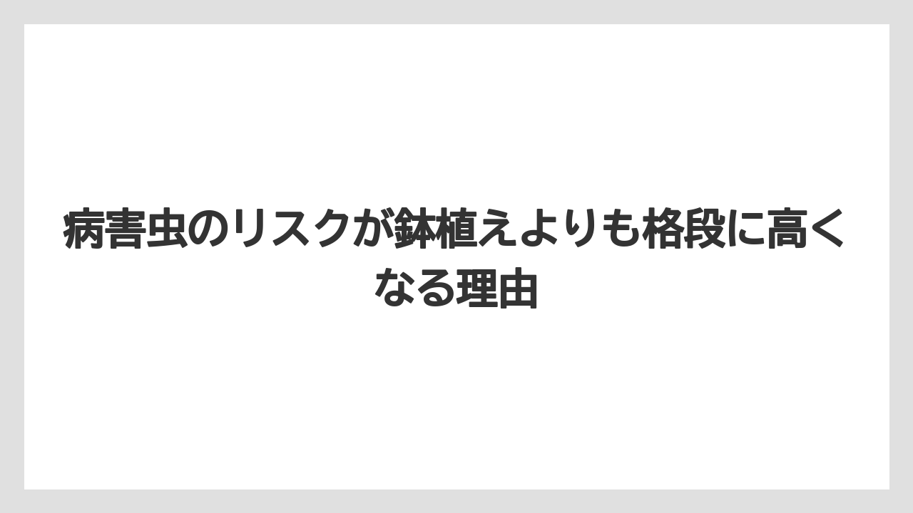 【いけない】【バジル】【後悔】【植え】【育て方】病害虫のリスクが鉢植えよりも格段に高くなる理由