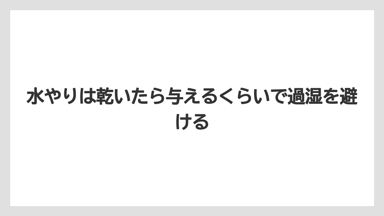 【支柱】【栽培】【豆苗】【農業】水やりは乾いたら与えるくらいで過湿を避ける