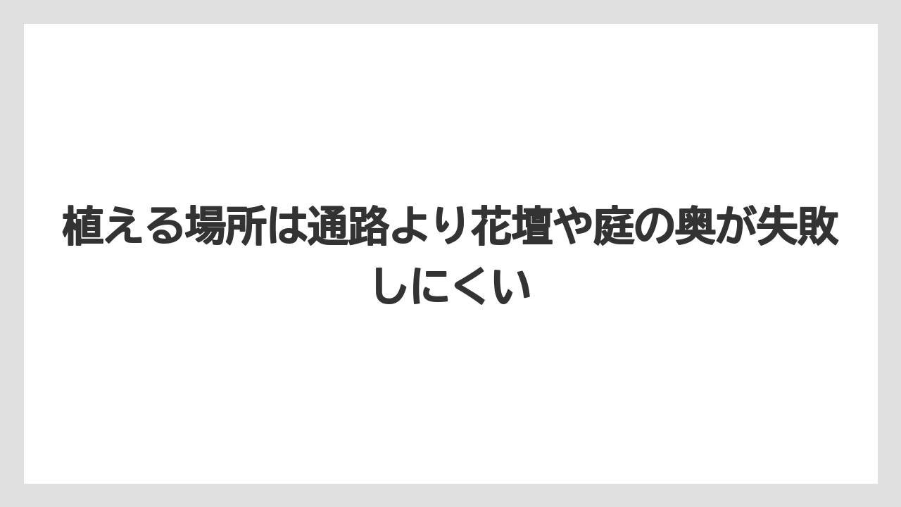 【いけない】【後悔】【栽培】【植え】植える場所は通路より花壇や庭の奥が失敗しにくい