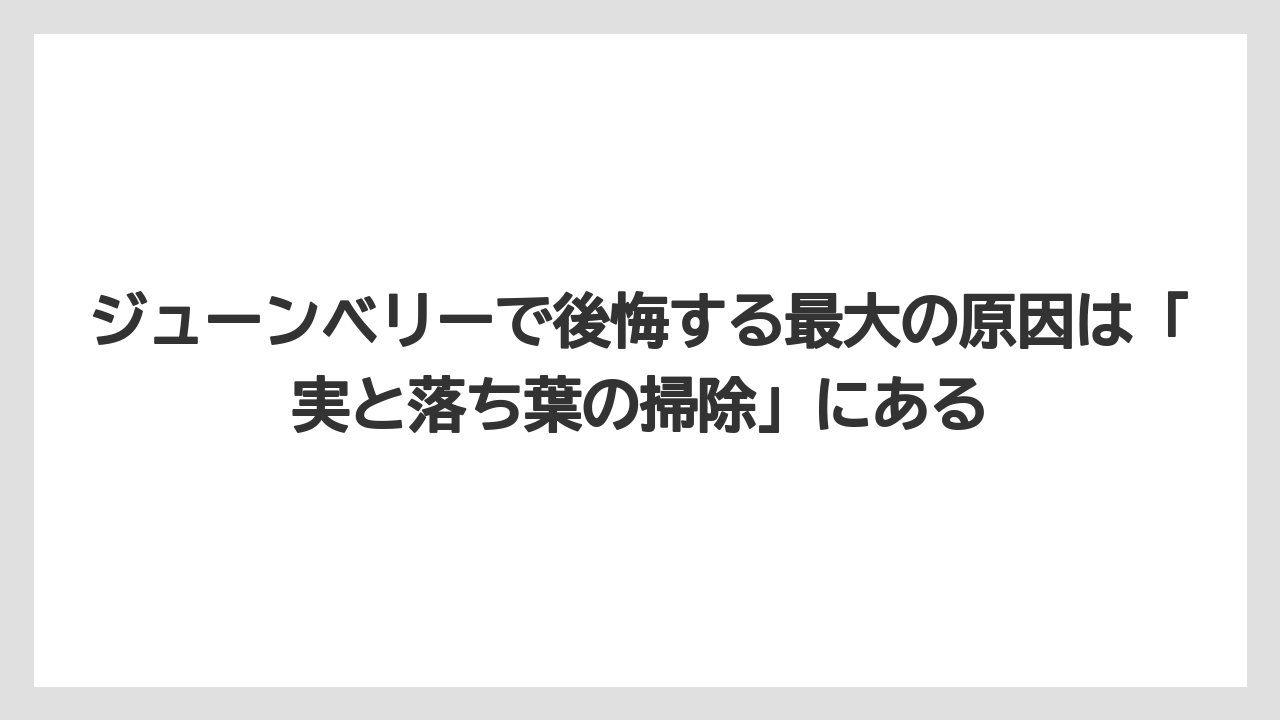 【オリーブ】【栽培】【農業】ジューンベリーで後悔する最大の原因は「実と落ち葉の掃除」にある