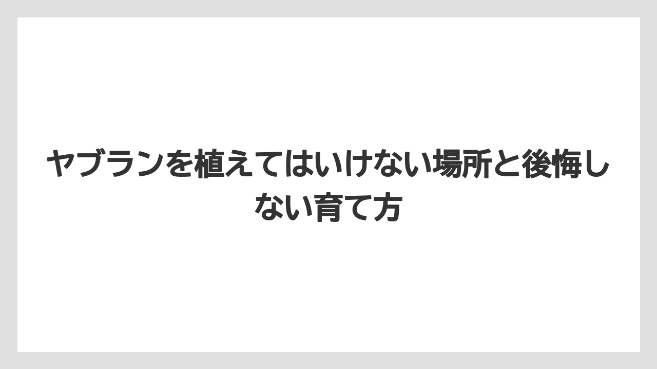 【栽培】【農園】【農業】抜き取りが大変になる理由は根がしっかり張るため