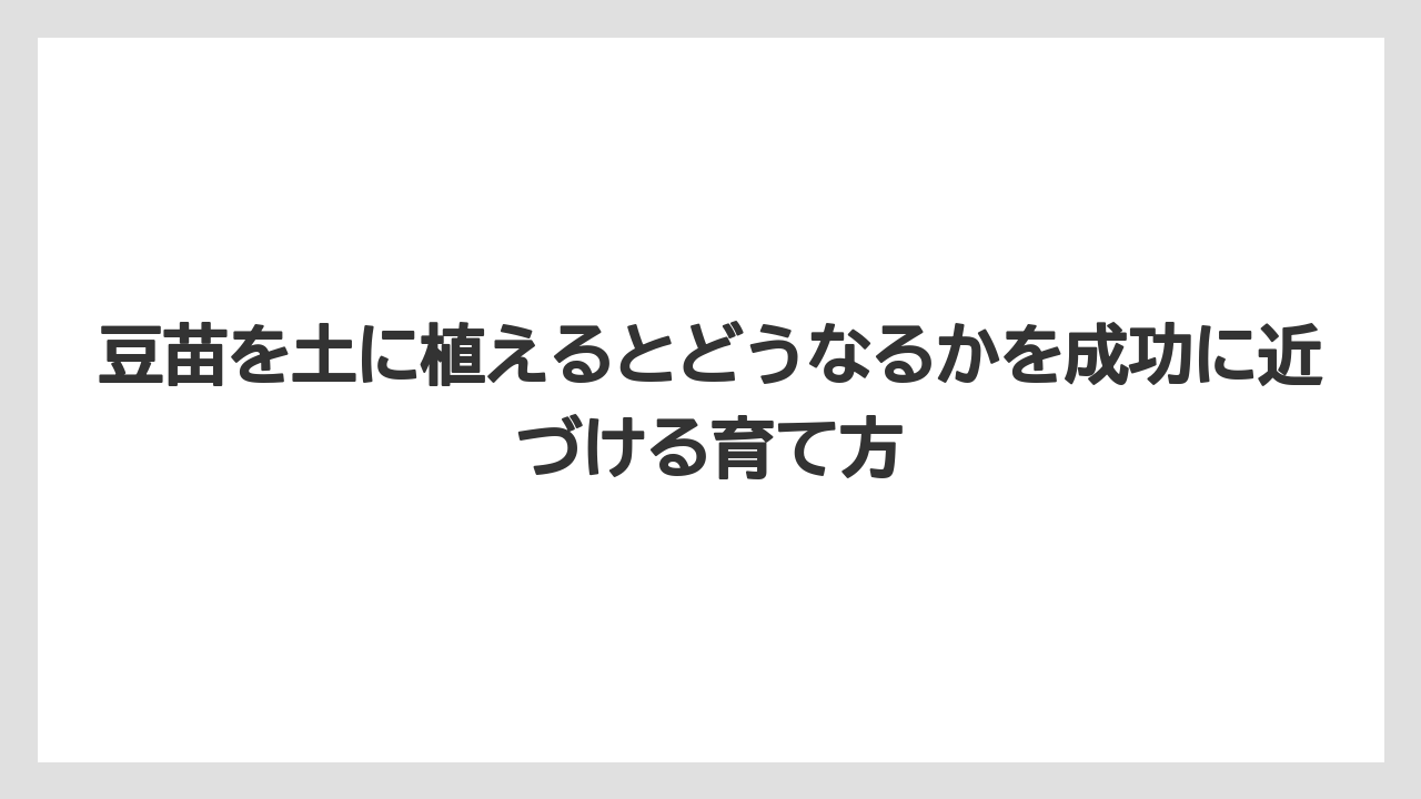 【栽培】【豆苗】【農業】庭植えよりプランター栽培の方が管理しやすい